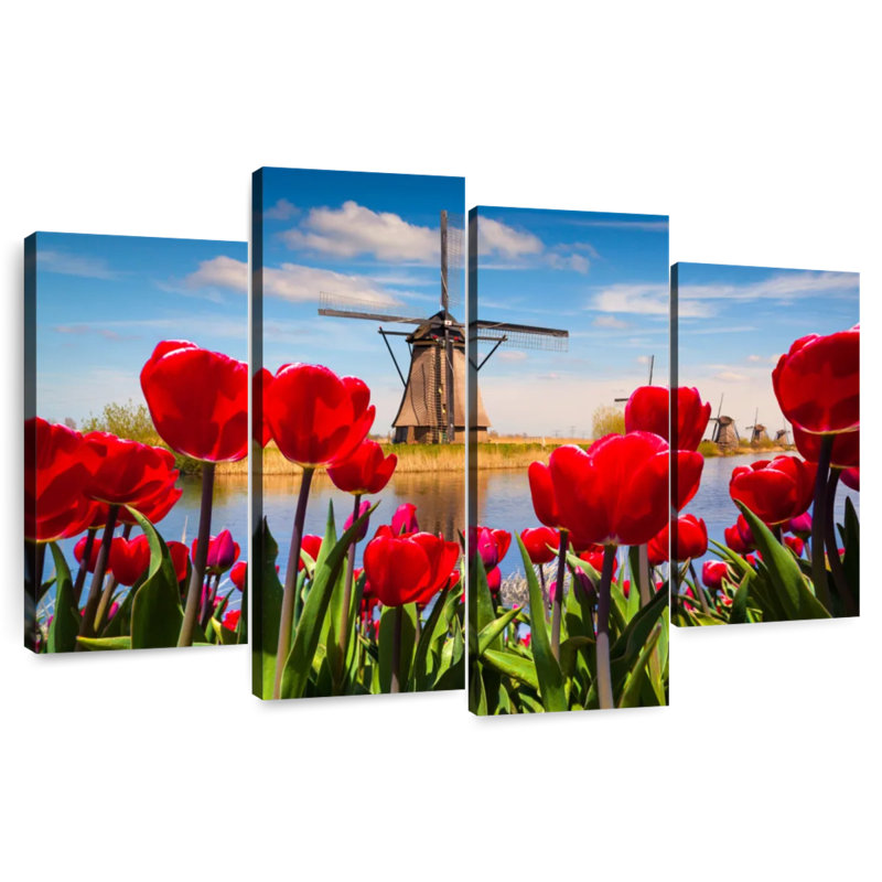 Harnek tulipes près du moulin à vent, H 22 po x l 36 po