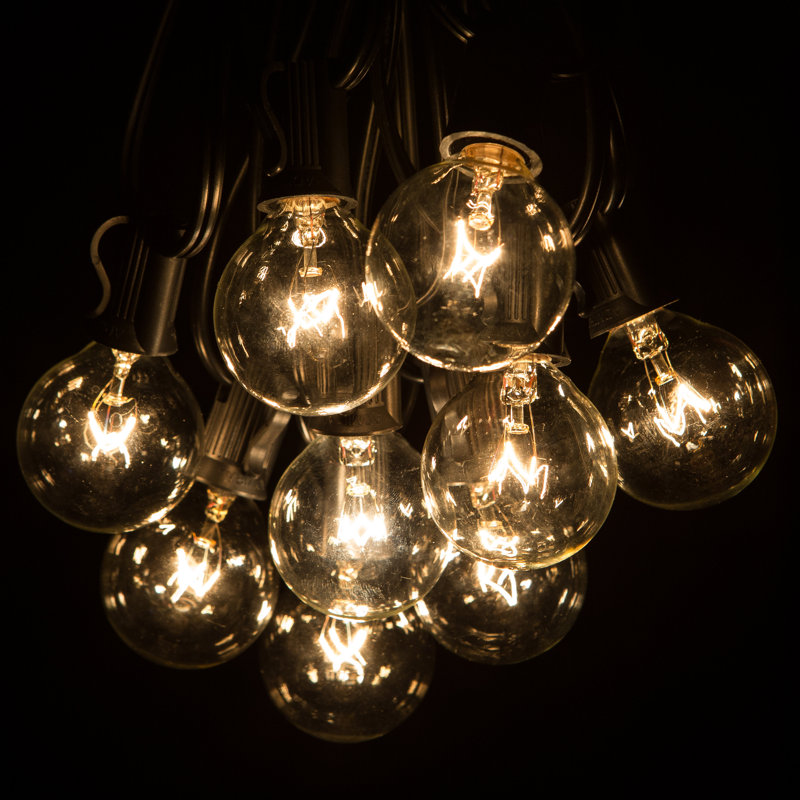 Henleaze Outdoor 25 - Bulb 25'' Plug-in Globe String Light, Black