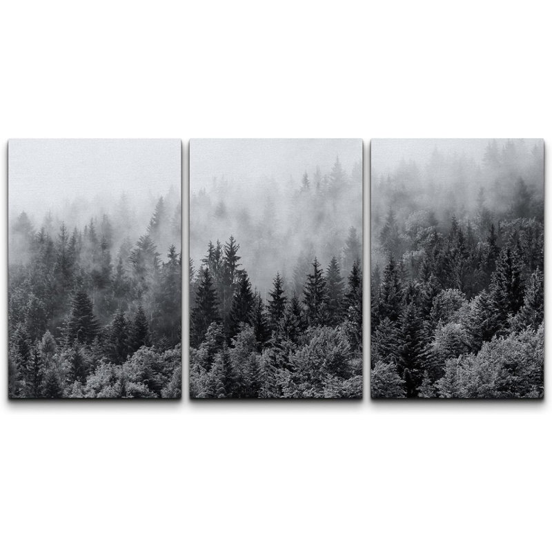 Misty Forests of Evergreen Coniferous Trees in an Ethereal Landscape - 3 Piece Canvas Photograph Print, 36" H x 24" W