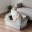 Cat Litter Box-134168149-134168147