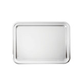 Elite Stainless Steel Tray