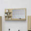 Adji Flat Mirror with Shelves-1513923669-1494757143