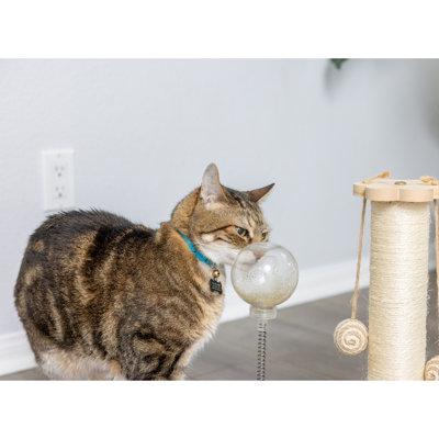 Interactive Scratch Post And Activity Center -- The Ultimate Cat Playground S1501