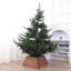 Moises Tree Skirt-132780287