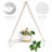 Swing Rope Simple Floating Shelf