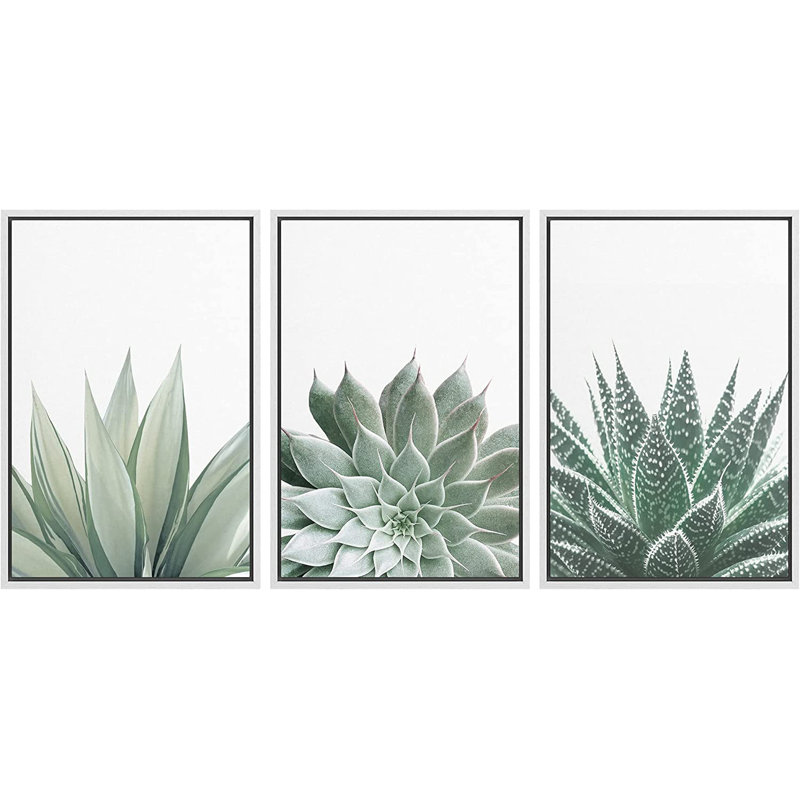 «Desert Cactus Succulent Variety Nature Wilderness», ensemble de 3 impressions sur toile flottante, H 24 po x l 48 po, Blanc