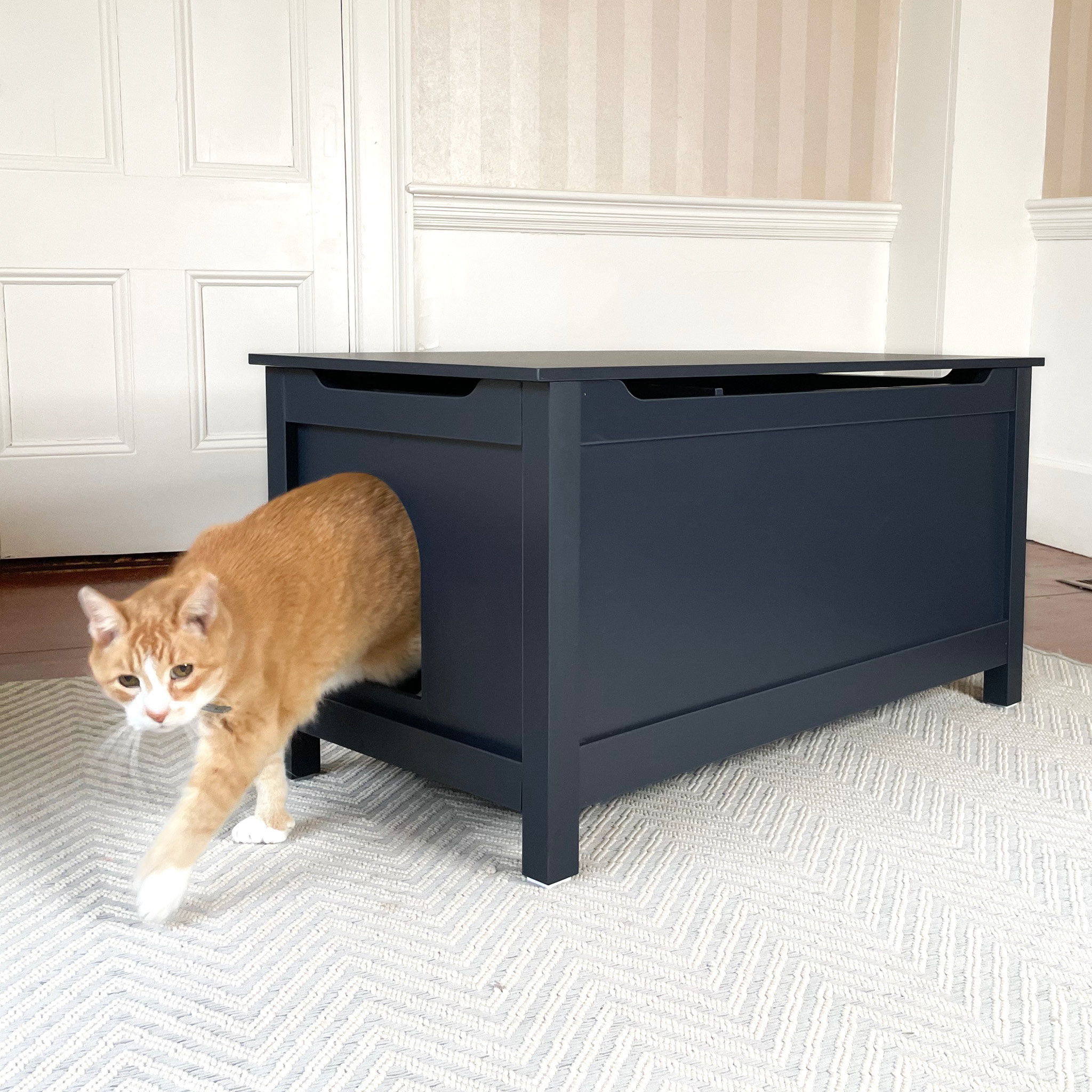 Tucker Murphy Pet™ Allyannah Litter Box Enclosure & Reviews | Wayfair