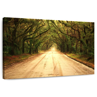 Mehar Tree Lined Dusty Road