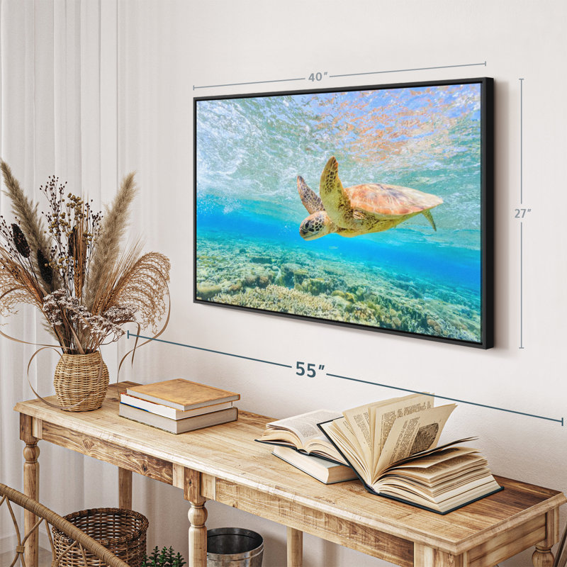 Turtle Dive Canvas Print, 27" H x 40" W