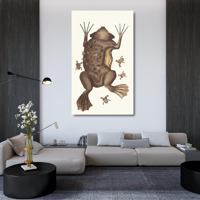 «Toad of Surinam» par George Shaw - Art mural sur toile tendue avec châssis, H 48 po x l 33 po