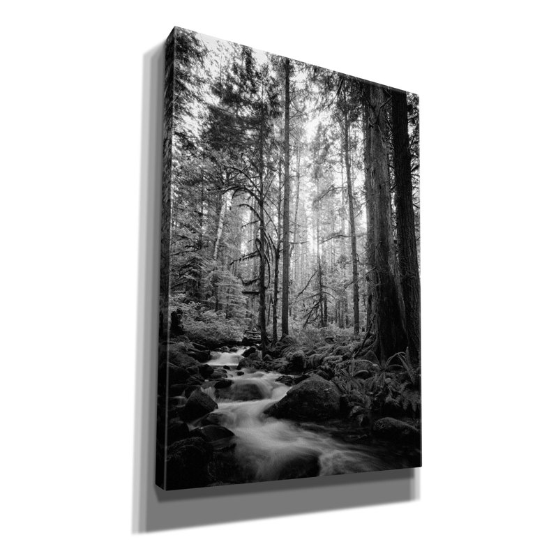 "Epic Graffiti" Woodland Cascades B & w "par Rick Berk, art mural sur toile, H 26 po x l 18 po x P 0,75 po