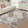 Shamequa Washable Moroccan Indoor Rug