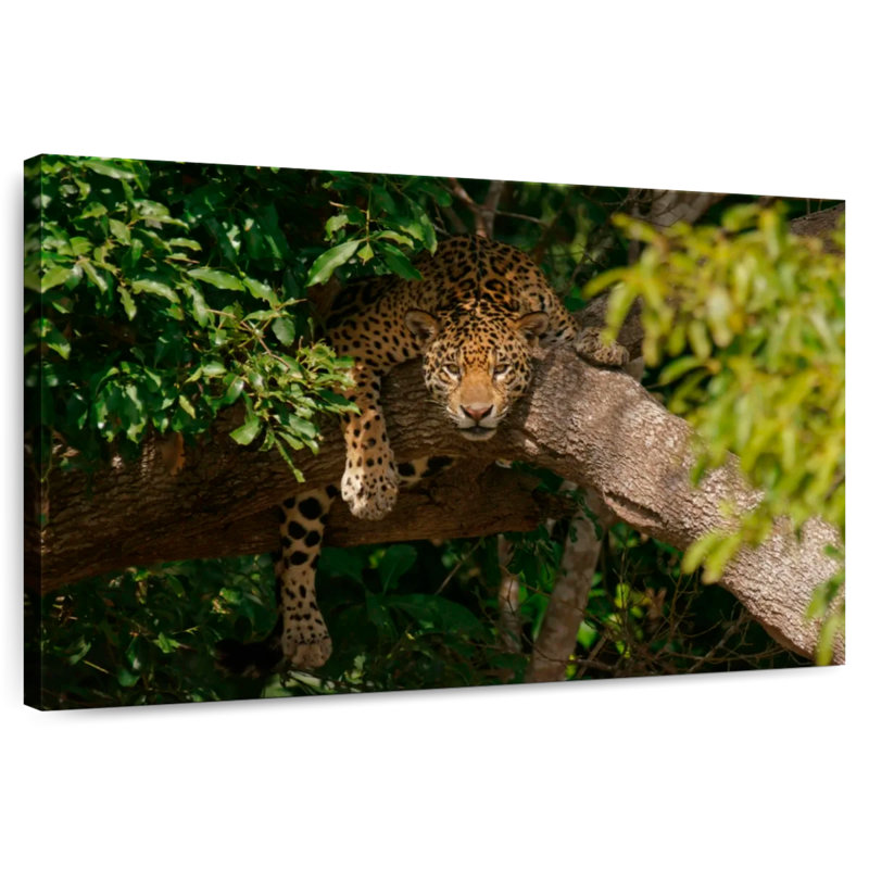 Cozy Tree Jaguar, 16" H x 24" W