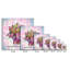 Sedeveria Letizia - impression sur toile tendue-202763911