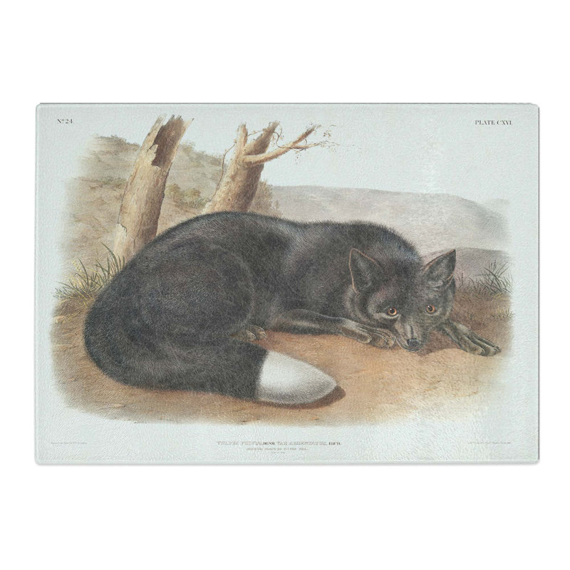 Tempered Glass American Fox by J.W. Audubon Chopping Board, 39cm W x 28.5cm L