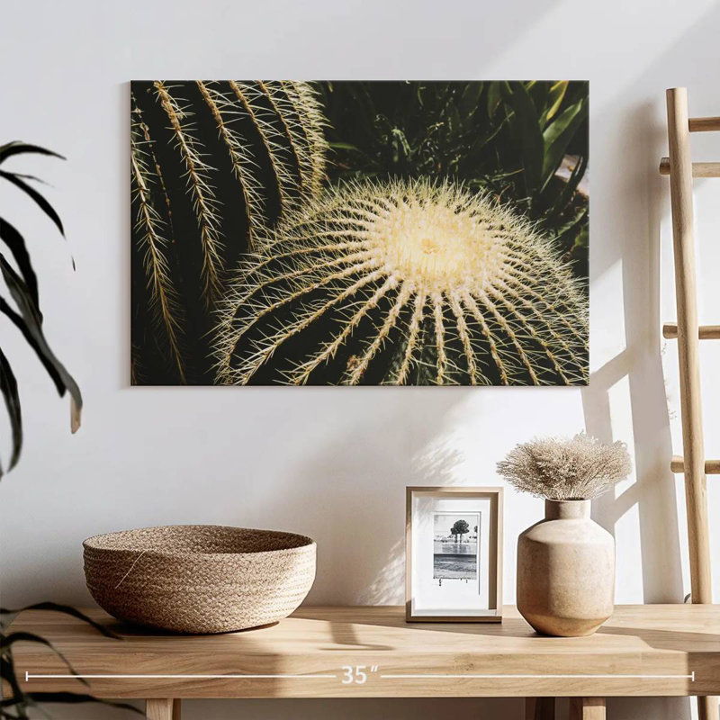 Harnek Barrel Cactus, 16" H x 24" W