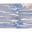 Between The Layers Print-704935500
