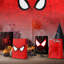Spiderman Party Bags with Handles, 24 Pcs Spiderman Gift Bag