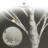 Twig Birch Tree with Lights