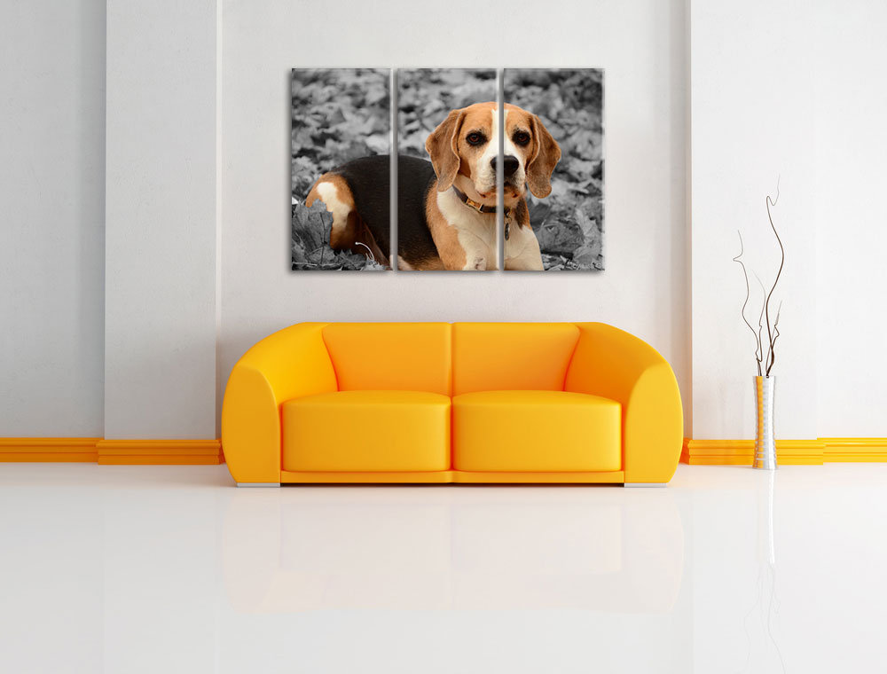 3-tlg. Leinwandbilder-Set „Kleiner Beagle spielt im Laub“, Fotodruck