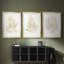 Gilded Algae IV - reproduction encadrée sur mesure de qualité supérieure - 3 pièces-113986351-113986336