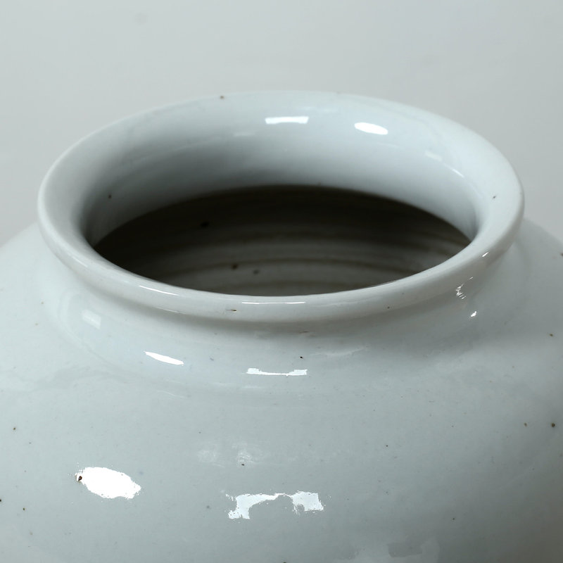 Suleekha Porcelain Table Vase