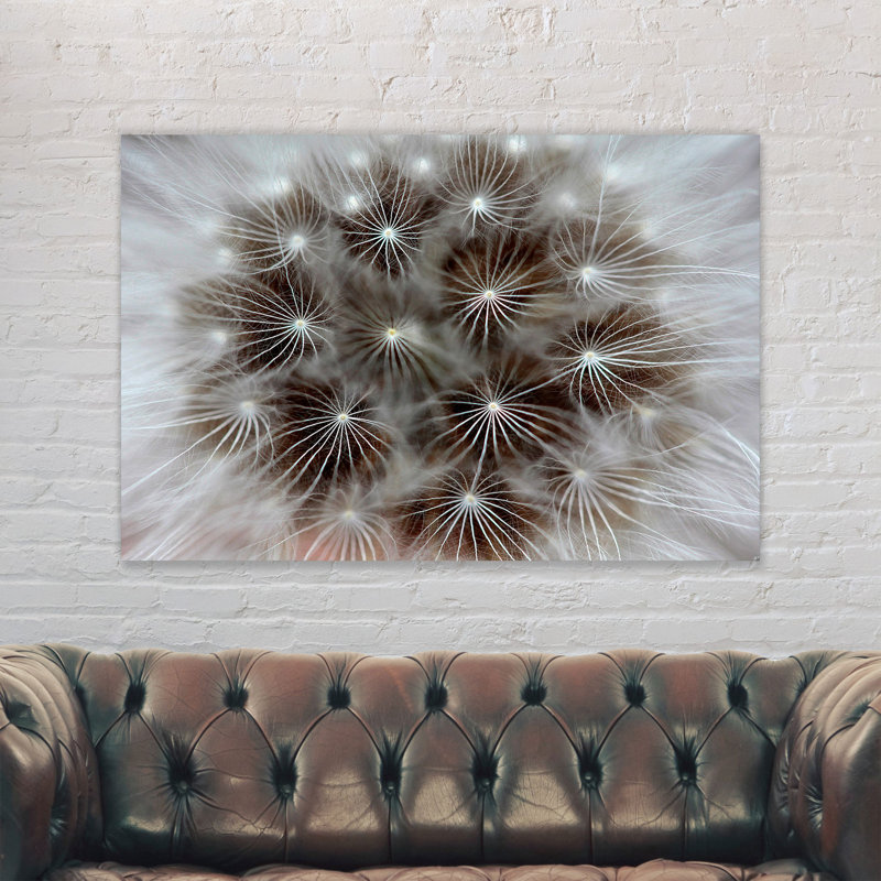 Dandelion Modern - Wrapped Canvas Print, 20cm H x 30cm W x 4cm D