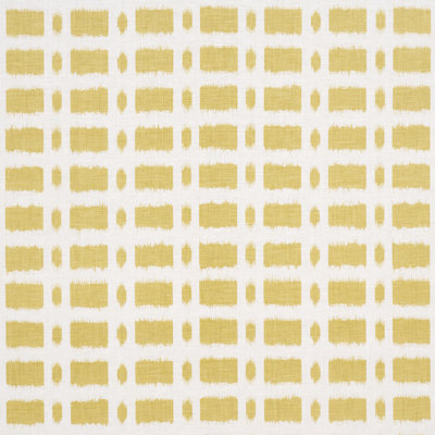 Schumacher X Veere Grenney Townline Road Fabric