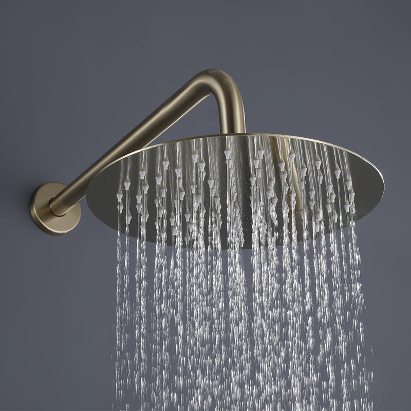 Cox Bathroom Wall Shower System, Or brossé