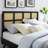 Luana Cane Mid-Century Modern Headboard by Modway-784543647-784543633
