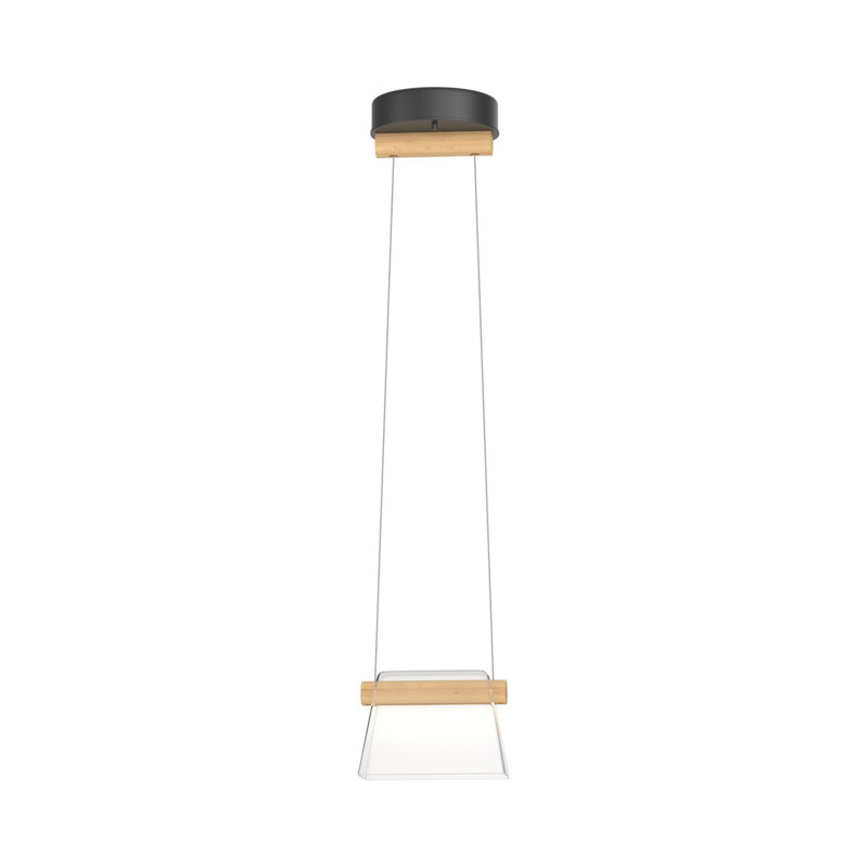 Luminaire suspendu 1 lumière DEL Cowbell, Verre transparent, Noir