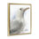 Cadre flottant Coastal Seagull Portrait, design par Matthew Piotrowicz