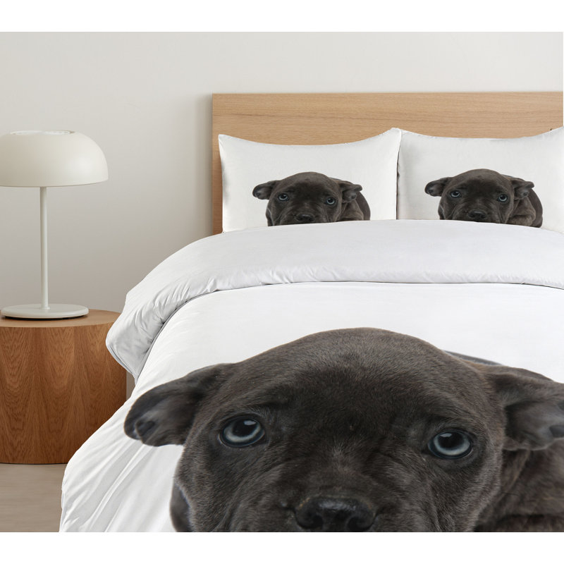 No Duvet Cover, Queen