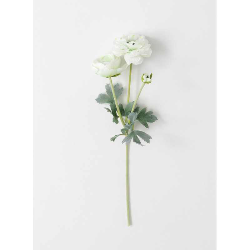 Ranunculus Arrangement, Cream