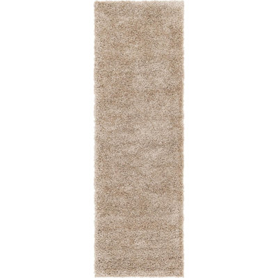 Indoor Rug
