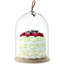 Ivalo Glass Cake Stand