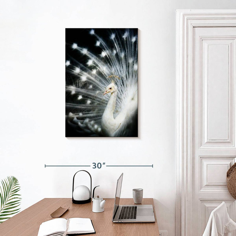 Brampt Rare White Peacock, 30" H x 20" W