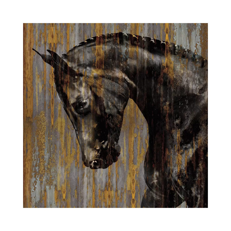 Horse I by Martin Rose - Gallery-Wrapped Canvas Giclée on Canvas, Wrapped Canvas, 30.48 cm H x 30.48 cm W
