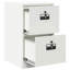 Storage Cabinet-1733305505