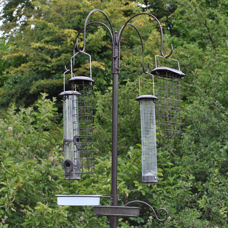 Pilkington Steel Accent