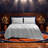 Champion Elastic Logo Microfiber Sheet Set-128579068-128579067