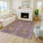Machine Washable Indoor/Outdoor Kaczor ACN2229 Global Rug-336074868