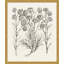Bessler Study Neutral 13' Framed Graphic Art Print on Glass