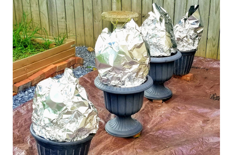DIY Planter 3