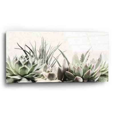 " Soft Succulents II " by Lori Deiter