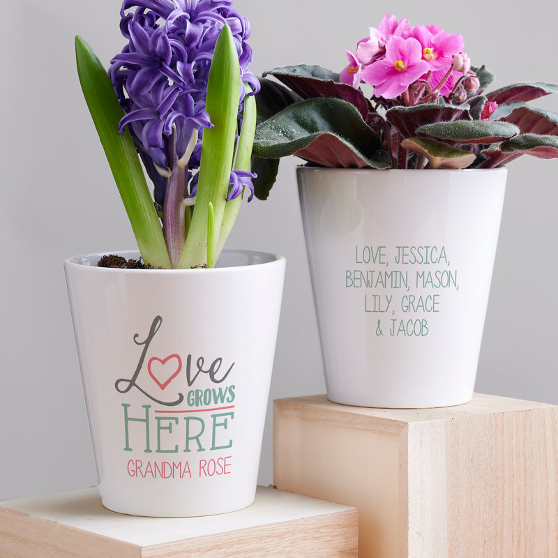  Love Grows Here Personalized Mini Flower Pot, Yes