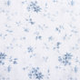 Bleu muse de jardin