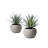 8'' Evergreen Grass in Stone Pot-828507521