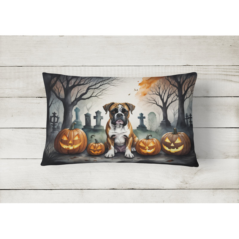 Other/No Pattern Outdoor Throw Pillow