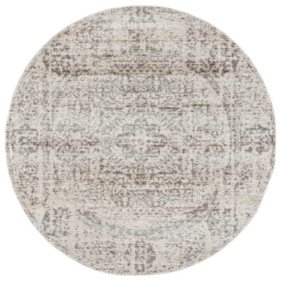 Evoke 260 Performance Oriental Rug